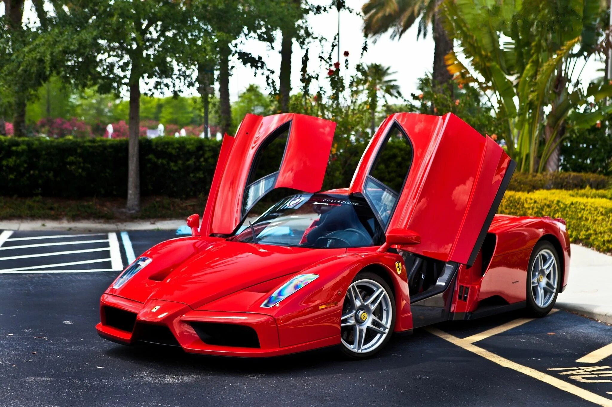 Красивые спортивные машины фото Ferrari Enzo Wallpapers SuperCars.net