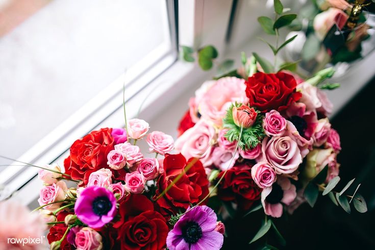 Красивые стильные фото цветов A beautiful bouquet of flowers. Visit Kaboompics for more free images. free imag