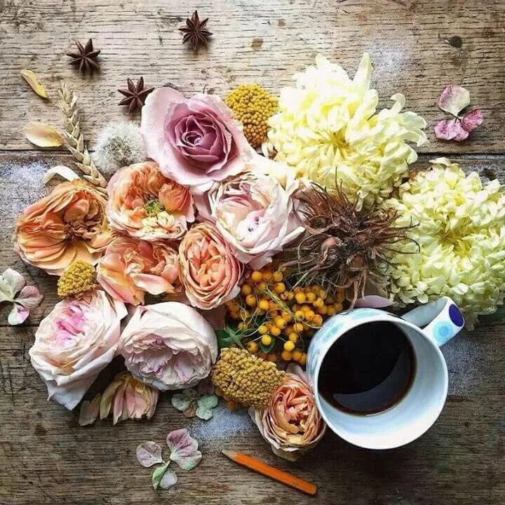 Красивые стильные картинки хорошего дня Pin by Julia UIiana Carmona on Coffee ( Кофе ) Food, Coffee flower, Coffee time