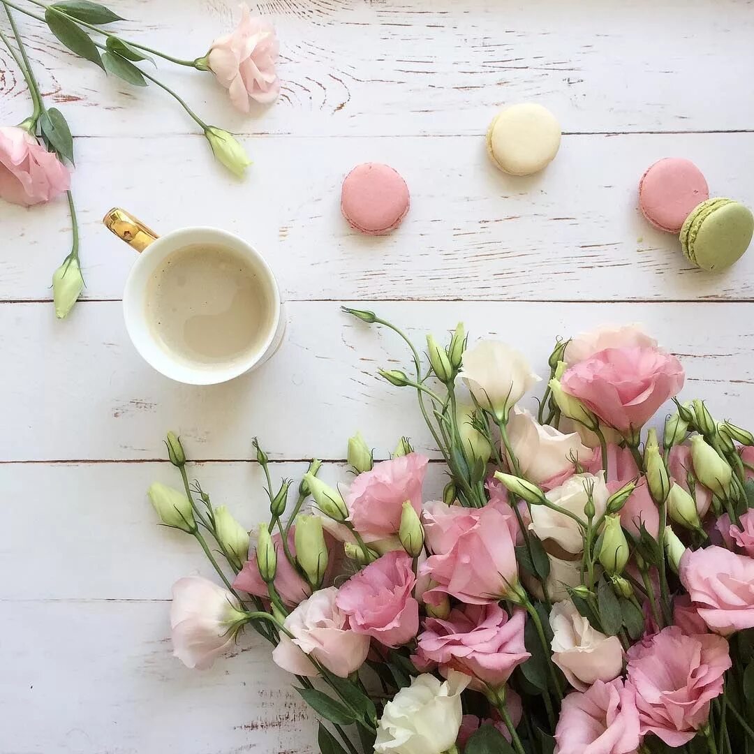 Красивые стильные картинки хорошего дня Sugar and Blooms... Happy Sunday everyone x Книга цветы, Цветочные фоны, Кофейны