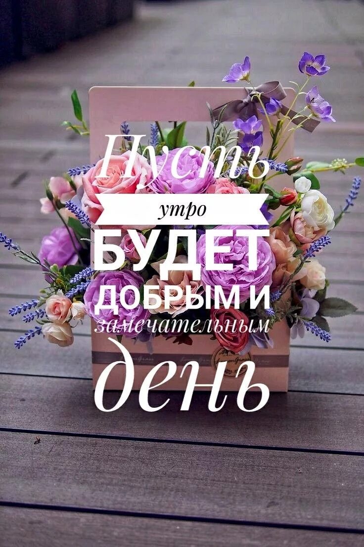 Красивые стильные картинки хорошего дня Pin on утро Good morning picture, Day wishes, Morning pictures