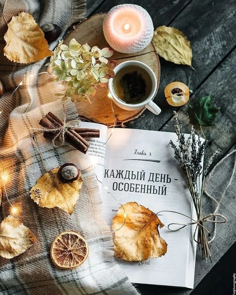 Красивые стильные картинки хорошего дня Воскресенье, 17 сентября Доброе утро! 2023 Мамы Наро-Фоминска ВКонтакте