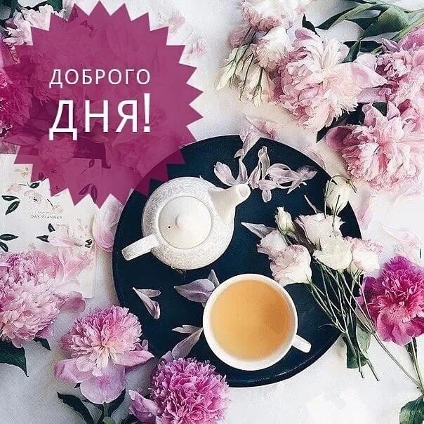 Красивые стильные картинки хорошего дня Добрый День! Хорошего дня! Желаю тебе провести день, наполненный добрыми словами