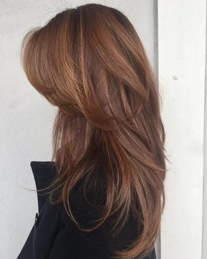 Красивые стрижки на длинные волосы 2024 54.236.1.11 30.07.2024 03:51:34 Long hair styles, Hair styles, Hair cuts