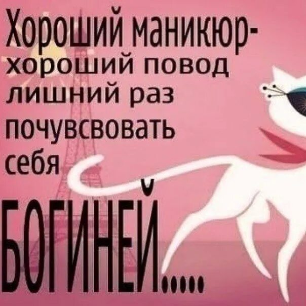 Красивые цитаты о маникюре Nail Bar "Лапка"
