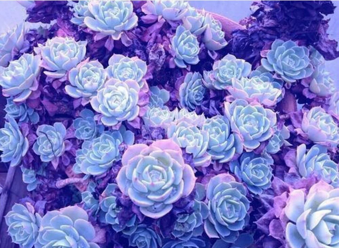 Красивые цвета для оформления Pin by Hailey Moore on backgrounds? Purple aesthetic, Lavender aesthetic, Pastel