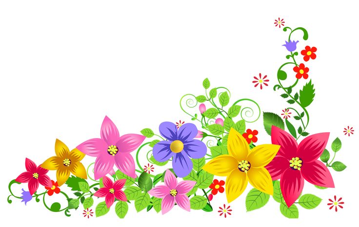 Красивые цветочки для оформления Transparent Floral Decoration PNG Picture Gallery Yopriceville - High-Quality Im