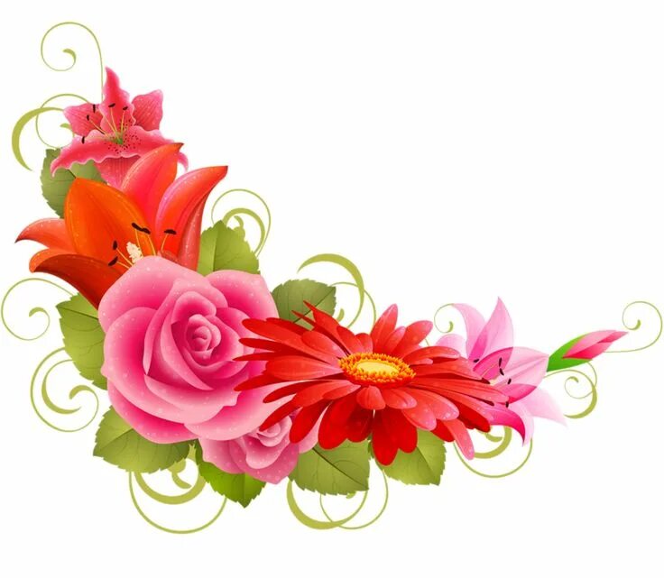 Красивые цветочки для оформления flowers png - Page 4 Рисунки цветов, Цветочные карты, Цветы