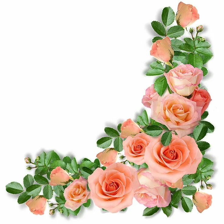 Красивые цветочки для оформления роз - уголки Floral border design, Flower frame, Flower printable