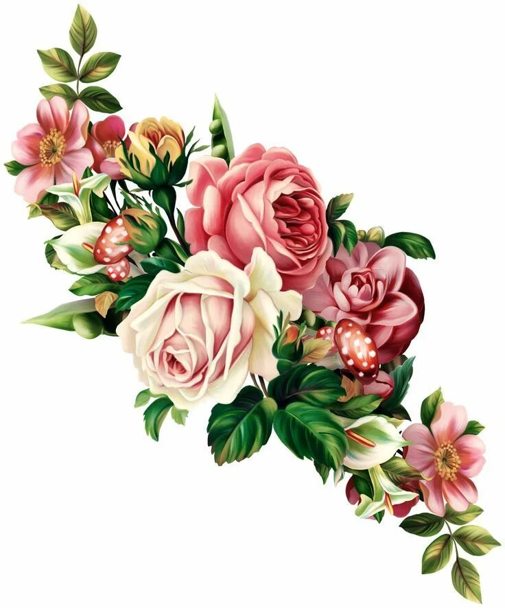 Красивые цветочки для оформления Pin by COCO Voisin on VICTORIEN Vintage flowers, Flower illustration, Flower pai