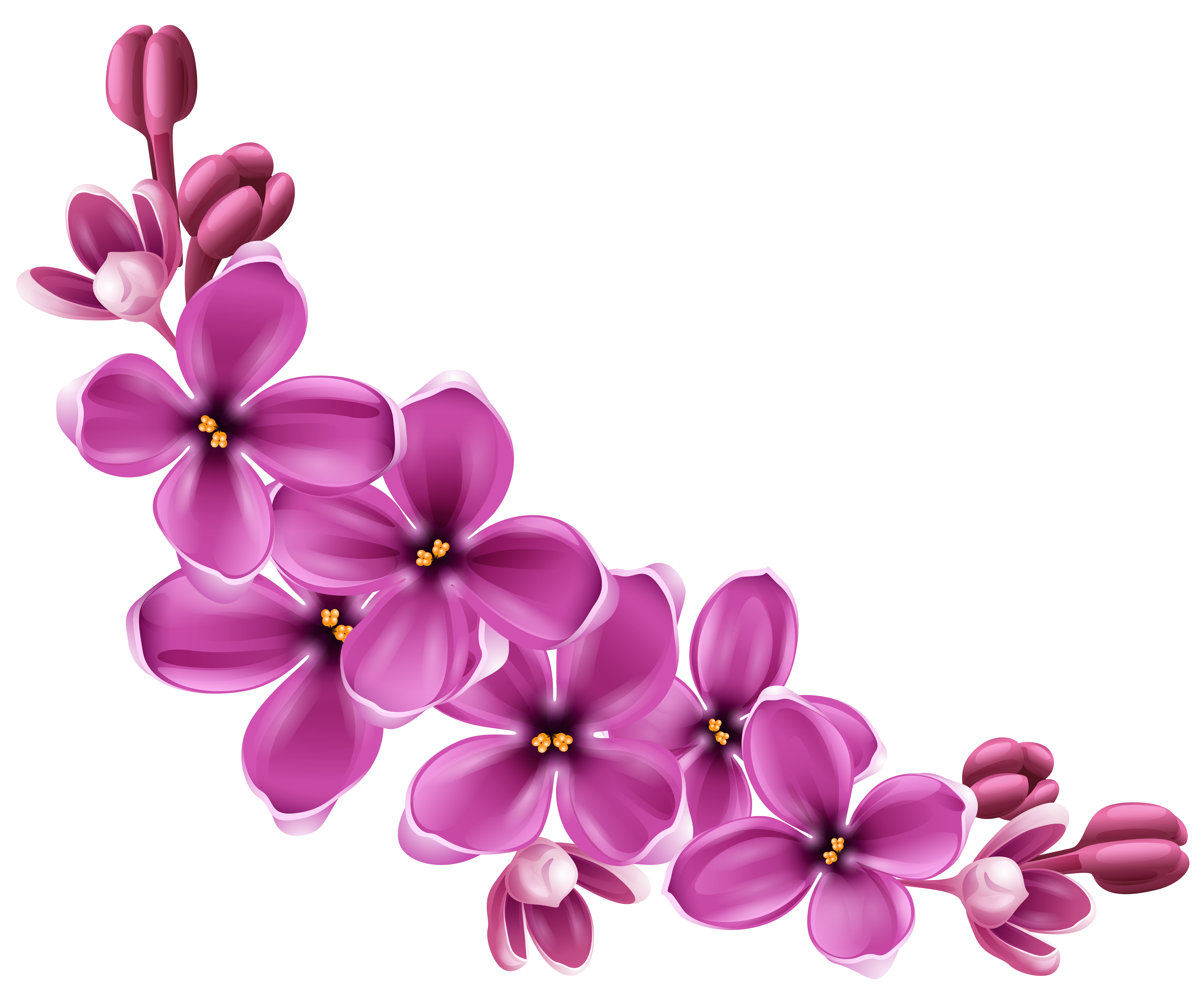 Красивые цветочки для оформления Pin på Blommor Floral design, Blomster, Flora