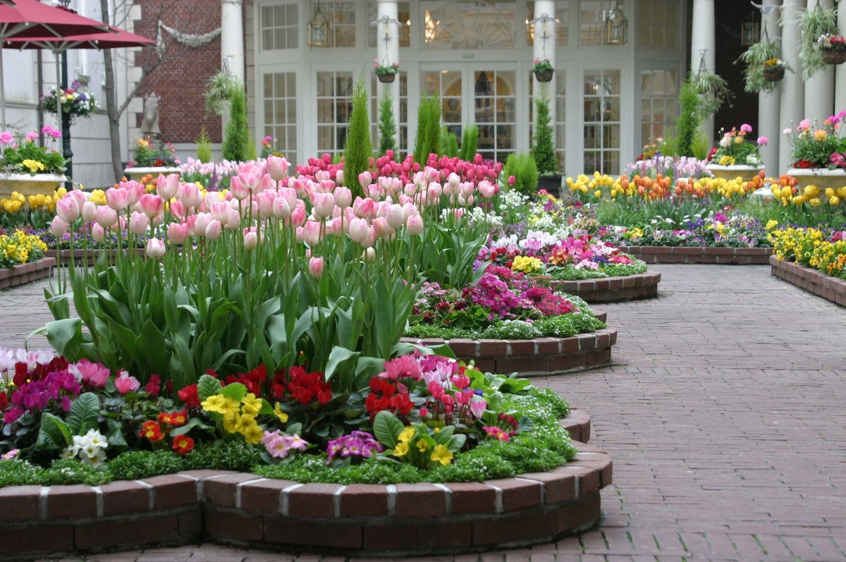 Красивые цветочные клумбы фото Reviews of Alena-Flowers, Leningrad Region, Vsevolozhckiy DIstrict, Settlement o