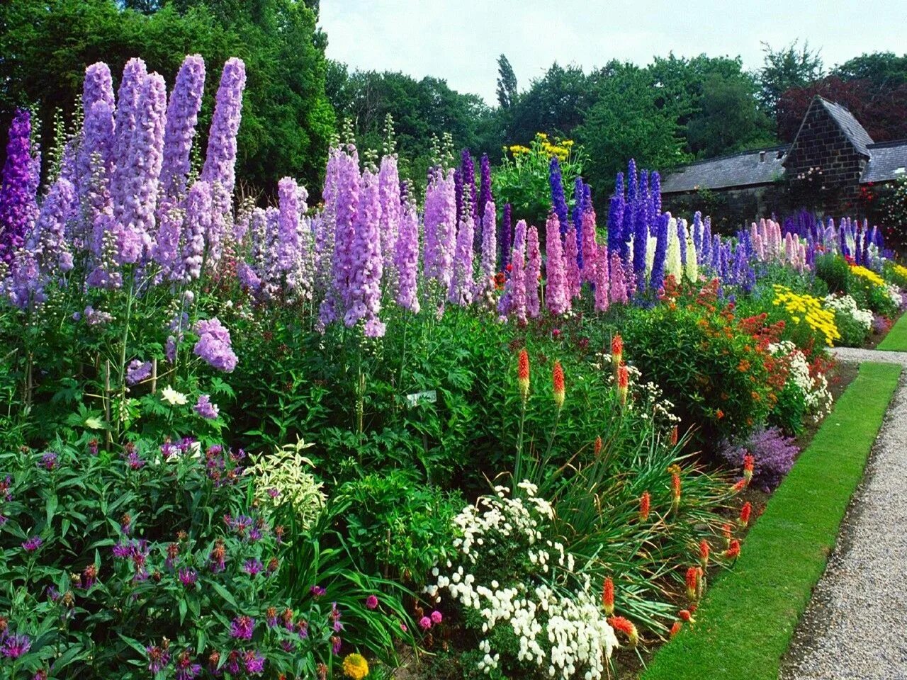 Красивые цветущие многолетники для сада фото Fioli gardens 002 Dream garden, Gorgeous gardens, Garden inspiration