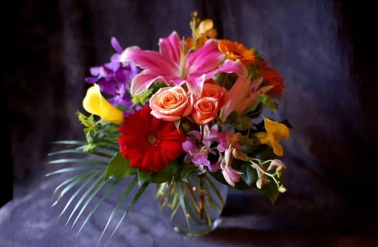 Красивые цветы букет фото хорошего Gerber_rose_lily_calla_lilies Trendy plants, Beautiful flowers, Flowers