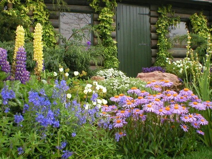 Красивые цветы для дачи фото с названиями cottage design flowerbed - Yahoo Image Search Results Cottage garden design, Gar