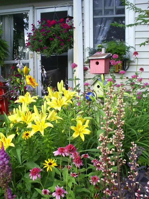 Красивые цветы для дачи фото с названиями 30+ Cottage Garden Ideas We Love Cottage garden design, Garden inspiration, Drea