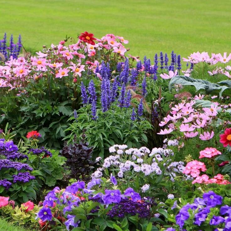 Красивые цветы для дачи фото с названиями This gardening kit will make landscaping easy. Plant a gorgeous bed of flowers w