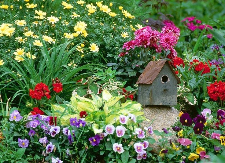 Красивые цветы для дачи фото с названиями garden bird house Beautiful flowers garden, Garden photos, Garden spaces