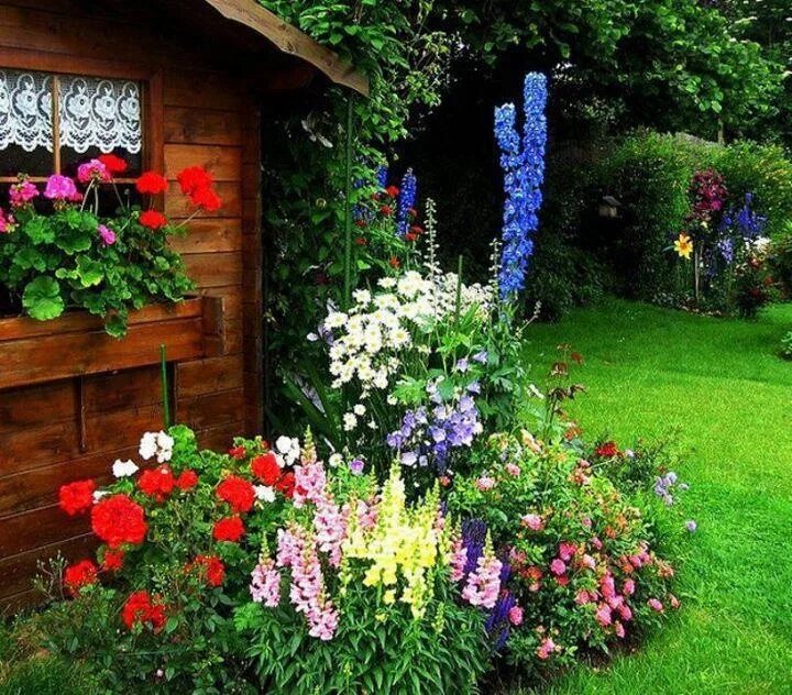 Красивые цветы для дачи фото с названиями Bello Jardin. Garden inspiration, Flower garden, Beautiful gardens