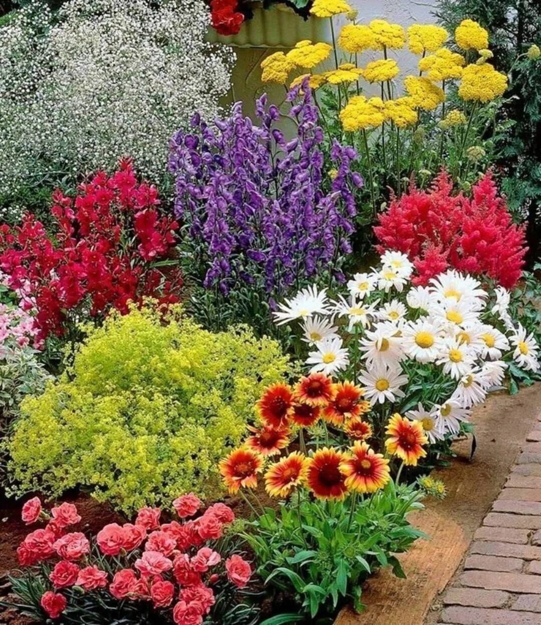 Красивые цветы для дачи фото с названиями Pin on Small garden design in 2024 Flower garden design, Perennial garden, Beaut