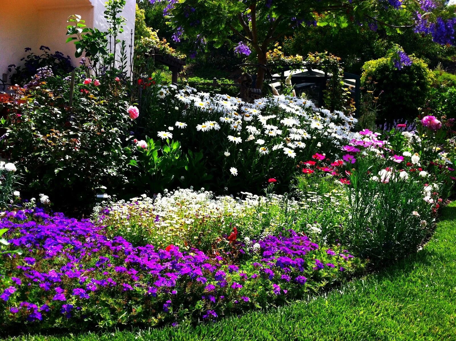 Красивые цветы для дачи фото с названиями Grow It Now: Five Simple Steps to Designing Beautiful Flower Beds Garden design,
