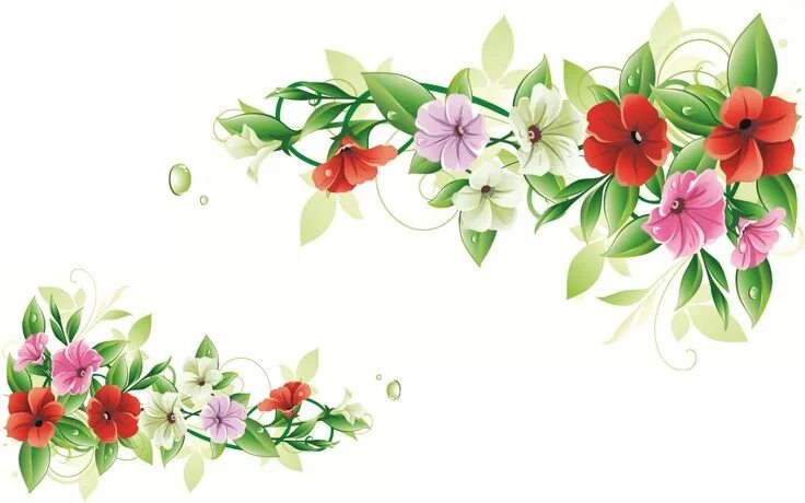 Красивые цветы для оформления стенгазеты flower-frame-224113 Flower picture frames, Flower design images, Flower frame