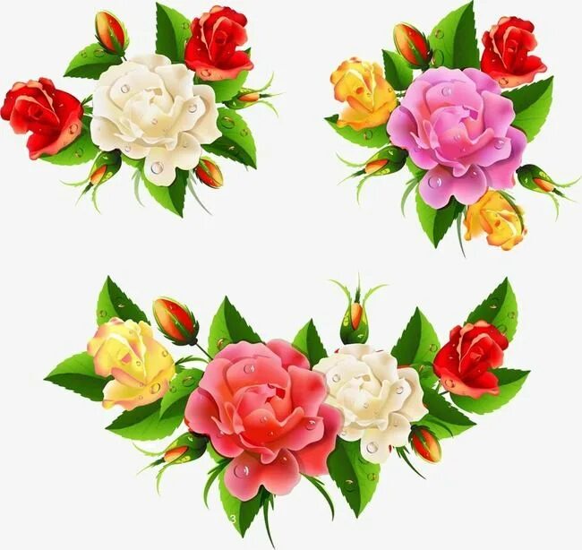 Красивые цветы для оформления стенгазеты Flower PNG Images, Flower Clipart, Bright PNG Transparent Background - Pngtree F