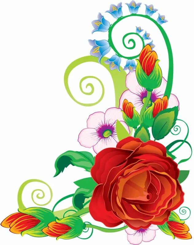 Красивые цветы для оформления стенгазеты цветочные уголки из инета Flower background wallpaper, Rosé png, Red rose png