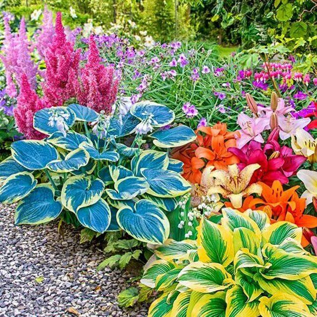 Красивые цветы для сада многолетники фото Landscaping Solutions for Shady Areas Hunker Partial shade perennials, Shade per