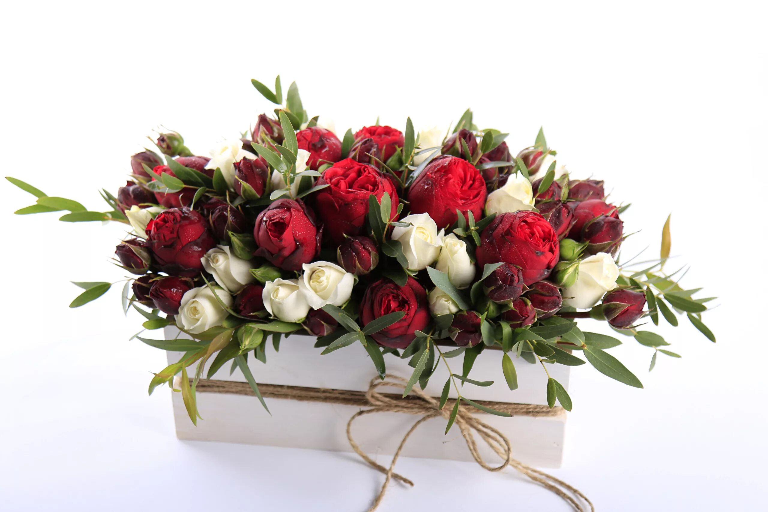 Красивые цветы фото букеты мужчине Photos Roses flower Many Flower-bud White background 2560x1706