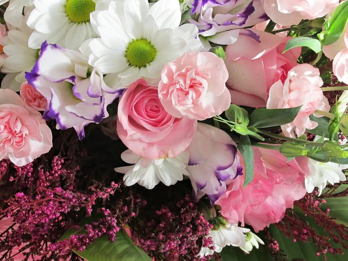 Красивые цветы фото хорошего качества Download wallpaper roses, bouquet, pink, chrysanthemum, clove, section flowers i