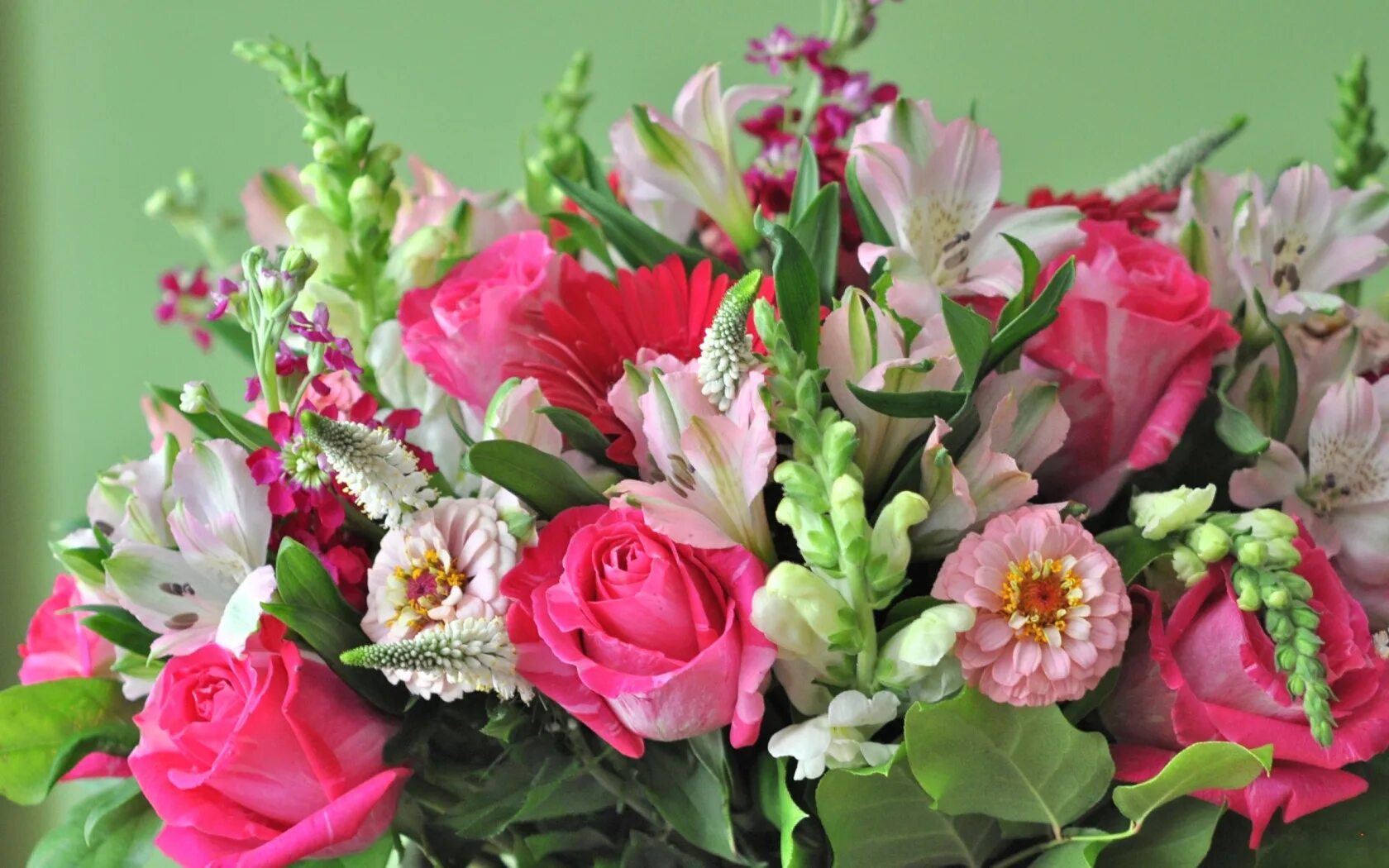 Красивые цветы фото хорошего качества Download wallpaper flowers, background, roses, bouquet, composition, zinnia, sec
