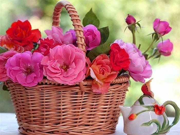 Красивые цветы фото хорошего скачать бесплатно Profil uživatele 1daiana - Přátelé Rose flower wallpaper, Flower arrangements ce