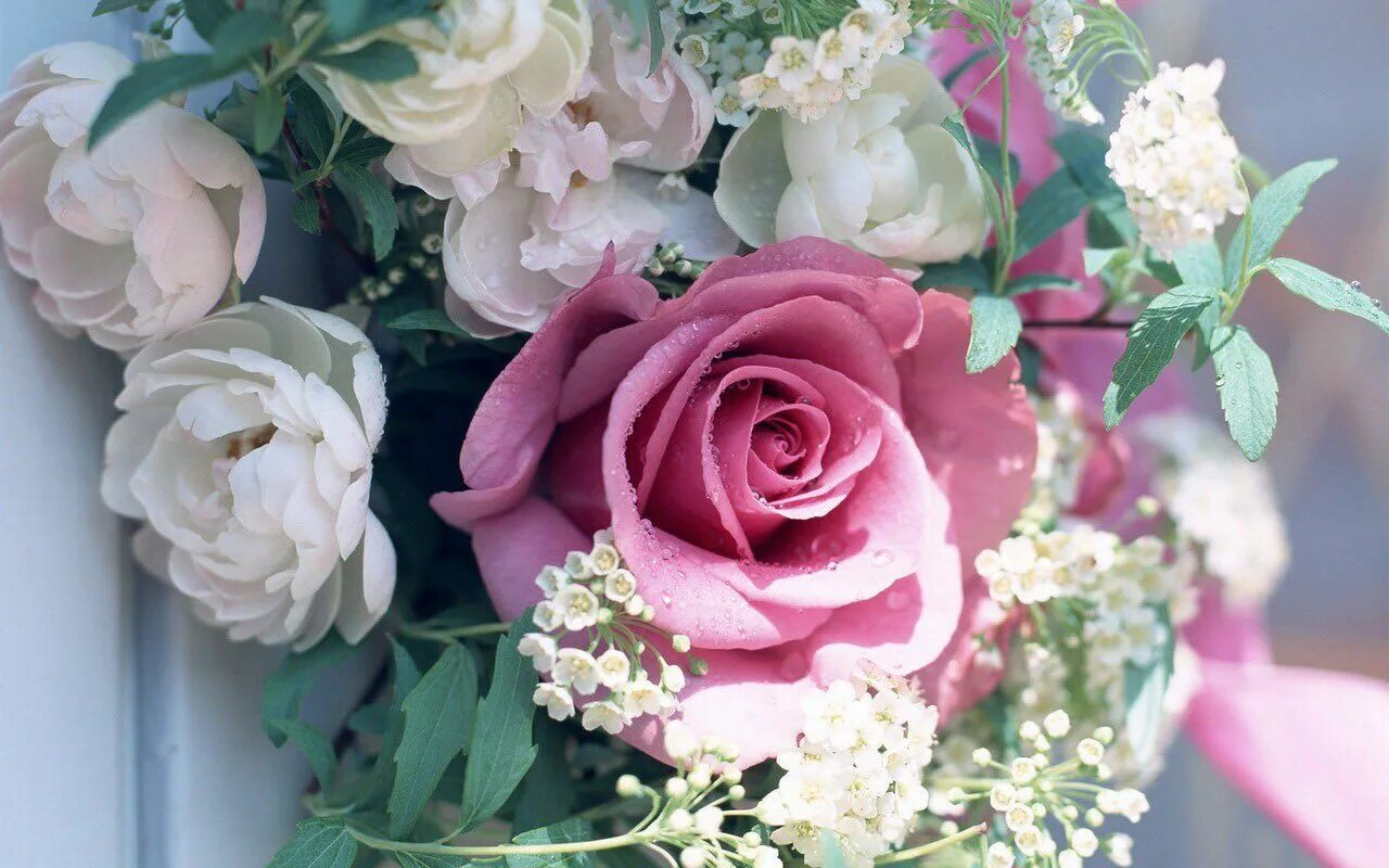 Красивые цветы фото хорошего скачать бесплатно Charlie Change on Twitter Flowers, Beautiful flowers, Pretty flowers