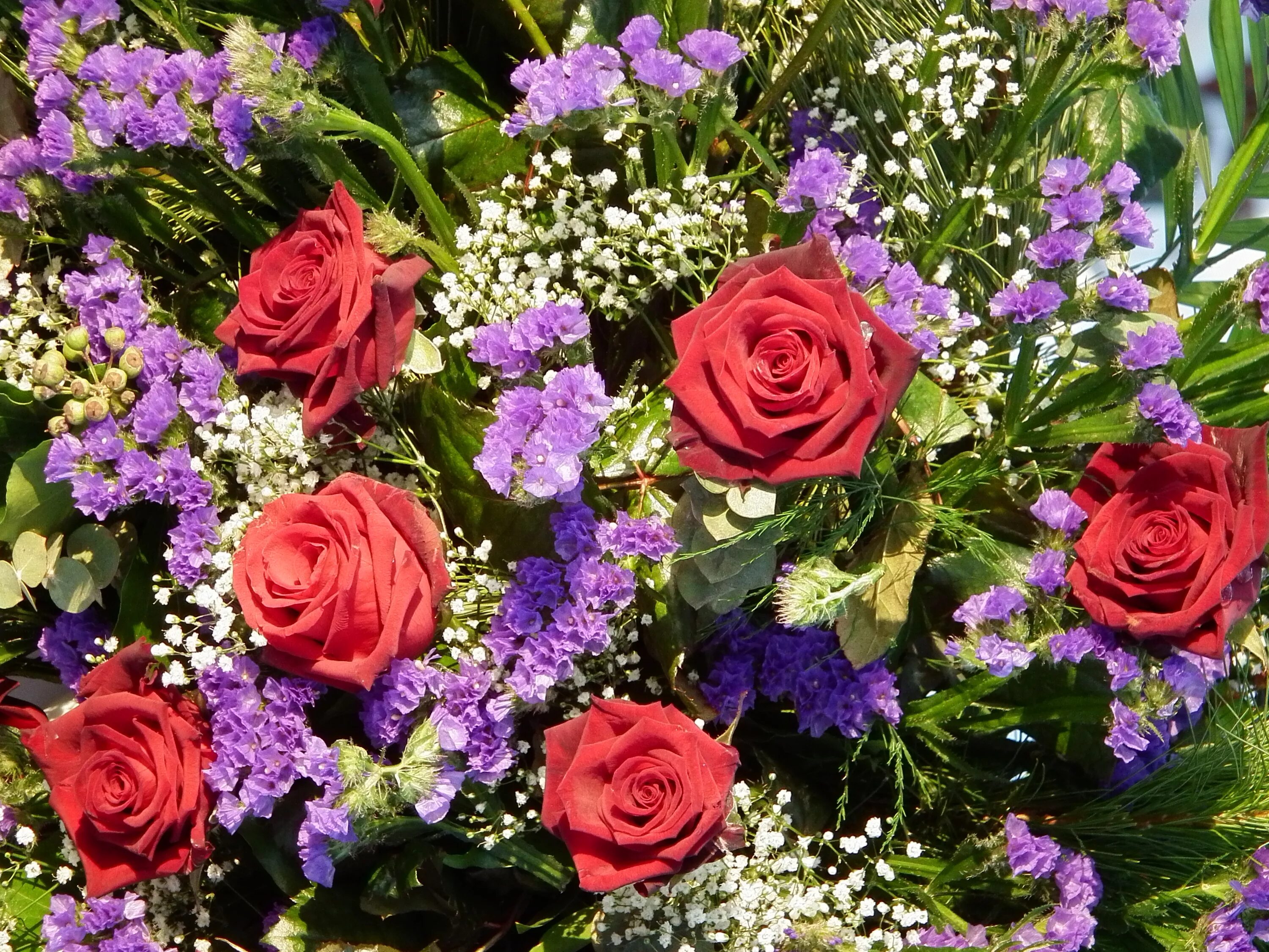 Красивые цветы фото хорошего скачать бесплатно File:Farbenfrohes Gesteck.JPG - Wikimedia Commons