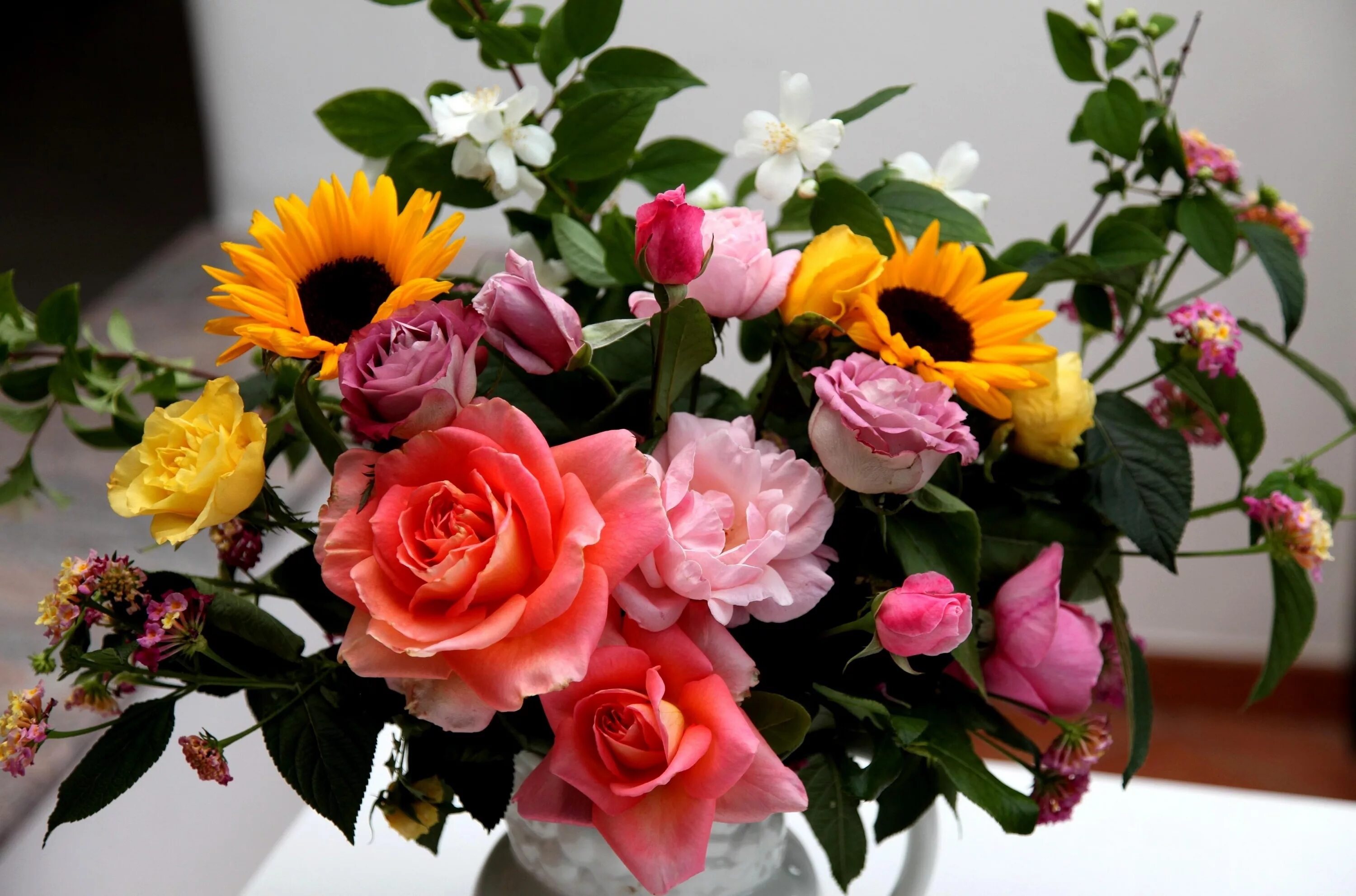 Красивые цветы фото хорошего скачать бесплатно Wallpaper : sunflowers, bouquets, Jasmine, flora, petal, vase, composition, land