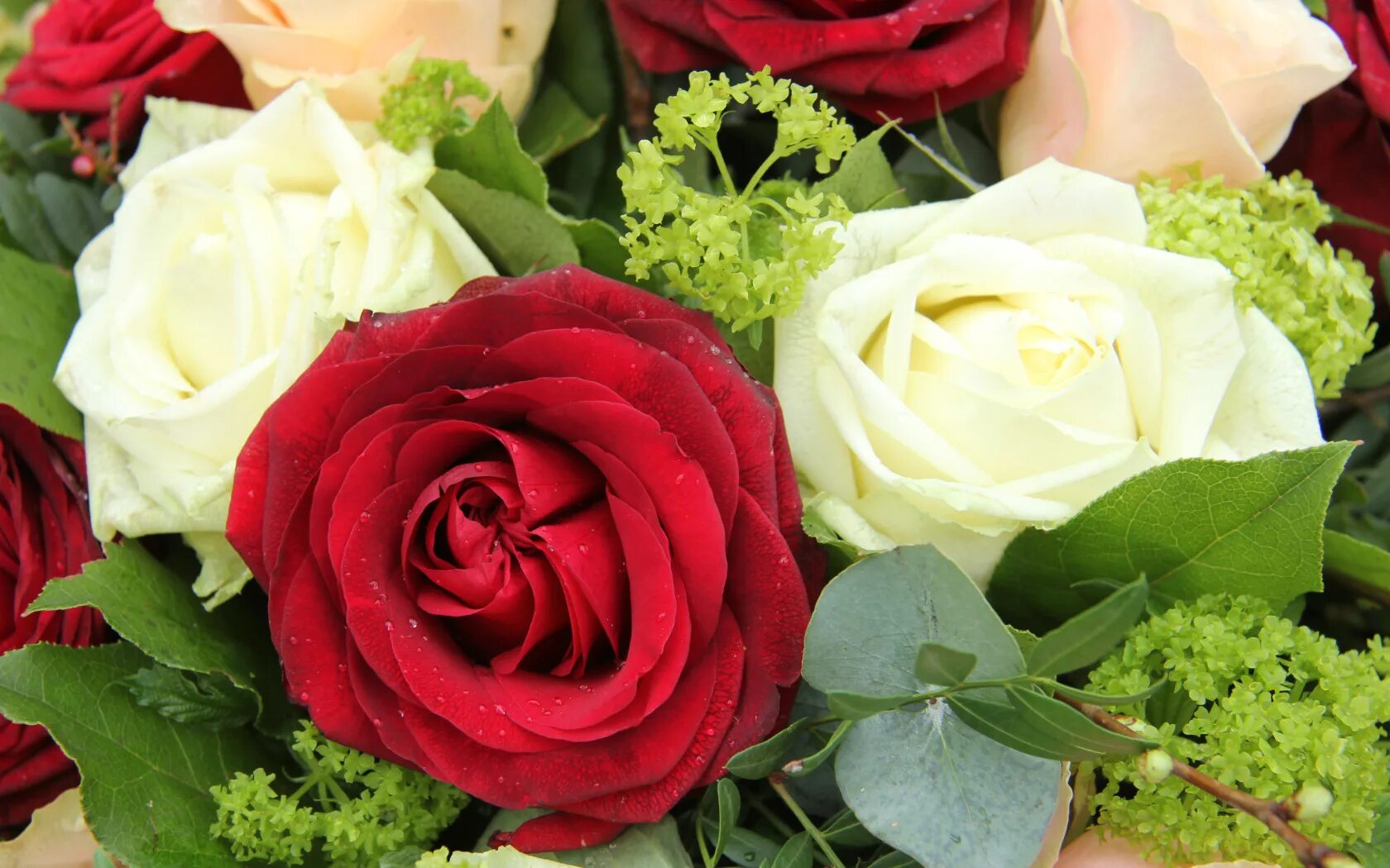 Красивые цветы фото хорошего скачать бесплатно Download wallpaper leaves, roses, bouquet, section flowers in resolution 1680x10
