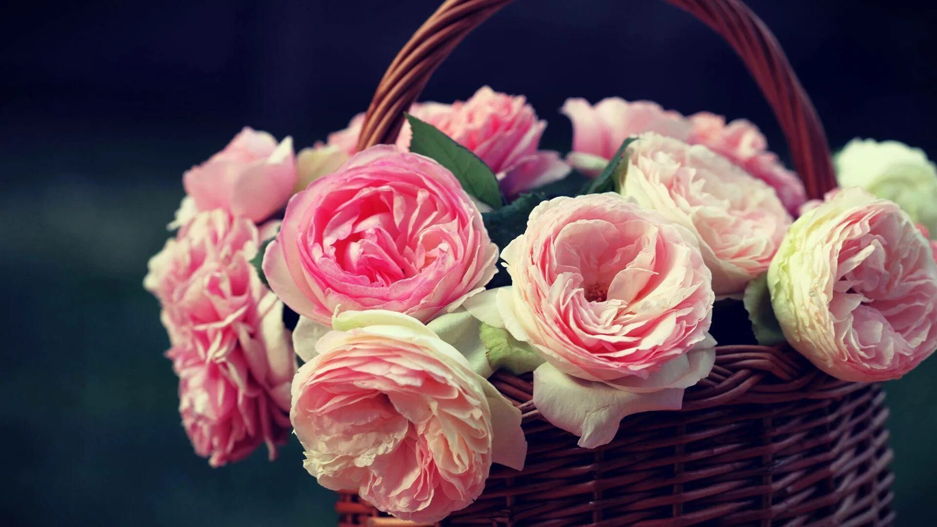 Красивые цветы фото рабочий стол Download Baby Pink Roses In A Basket Wallpaper Wallpapers.com