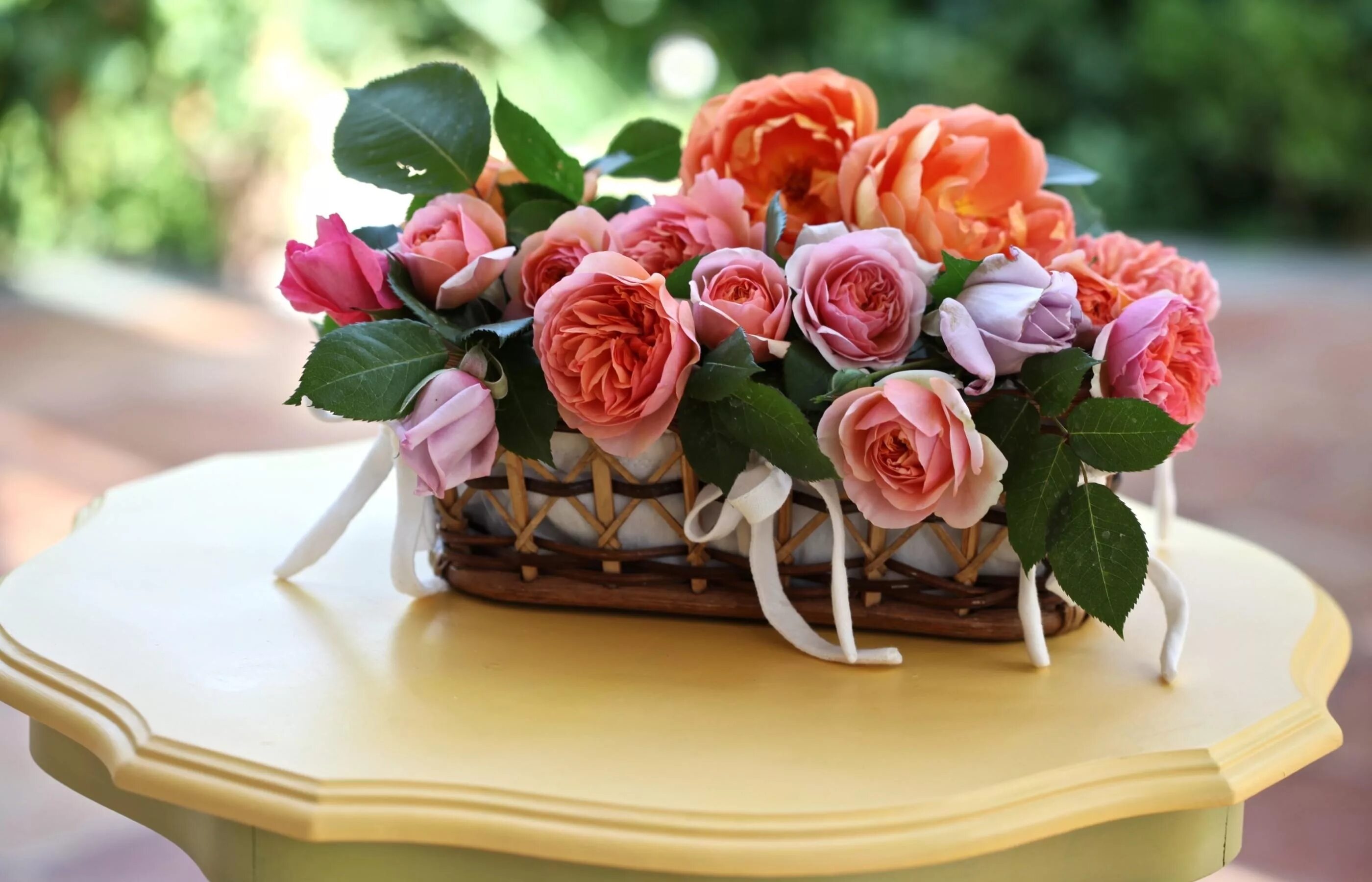 Красивые цветы фото рабочий стол Download wallpaper 2800x1800 roses, flowers, flowing, trash, leaves, table hd ba
