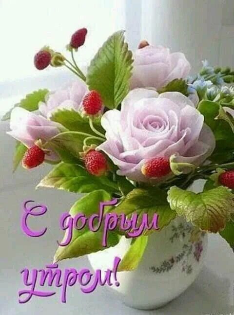 Красивые цветы фото с добрым днем Pin on Открытки с пожиланиями Good morning flowers, Beautiful rose flowers, Amaz