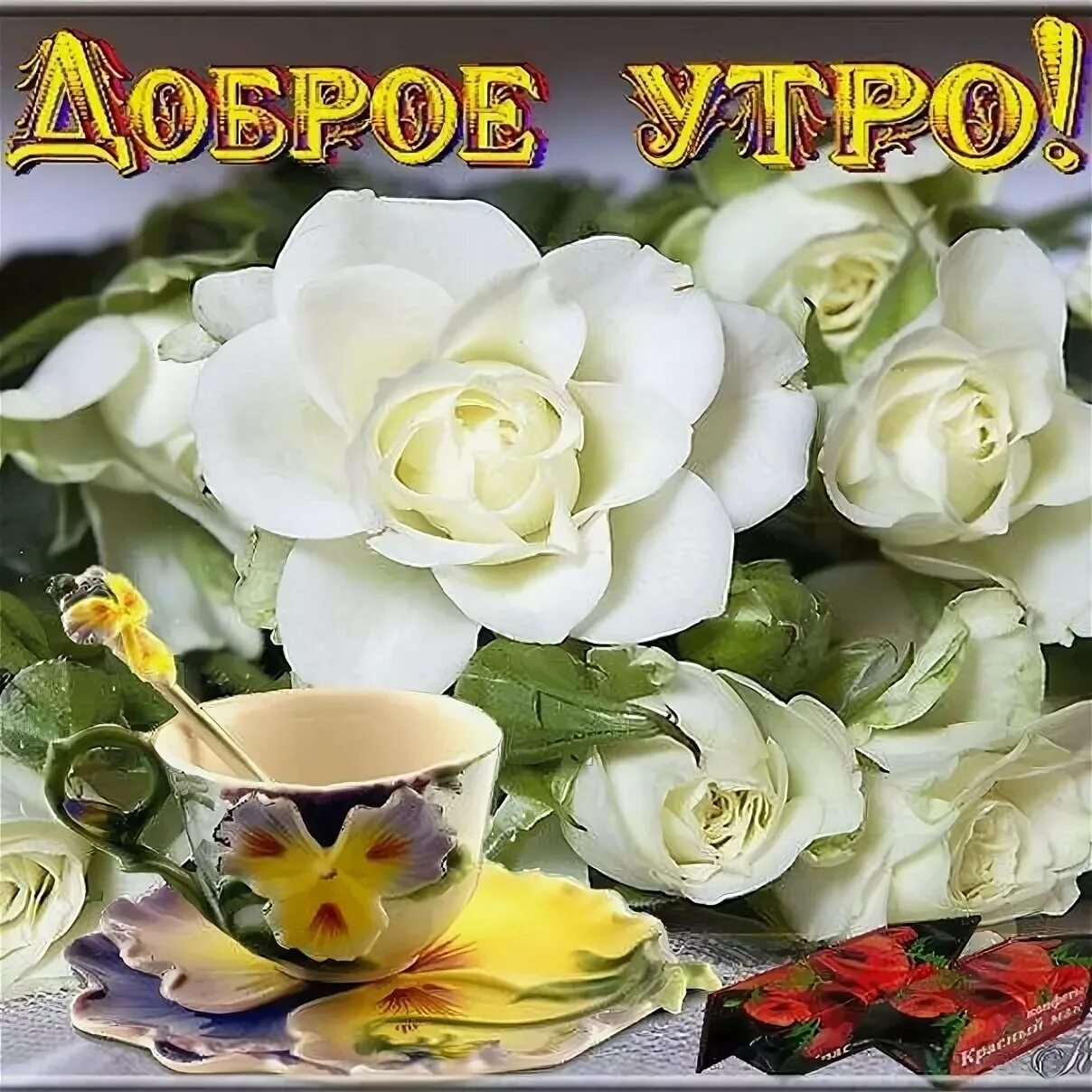 Красивые цветы фото с добрым днем Поздравление с добрым утром женщине красивые бесплатные: найдено 83 картинок