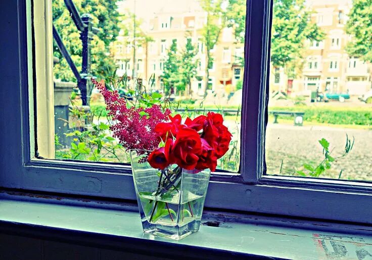 Красивые цветы на окне фото Beautiful Flower Arrangement