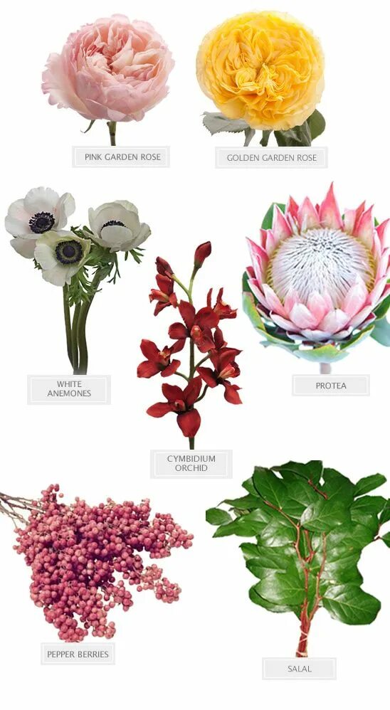 Красивые цветы названия и фото для букетов The Beauty of Love Bouquet Recipe Types of flowers, Bouquet recipe, Planting flo