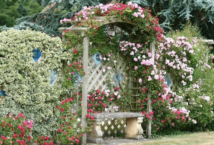 Красивые цветы своими руками на даче 46 Cottage Garden Ideas for a Blissful Yard Small cottage garden ideas, Rose gar