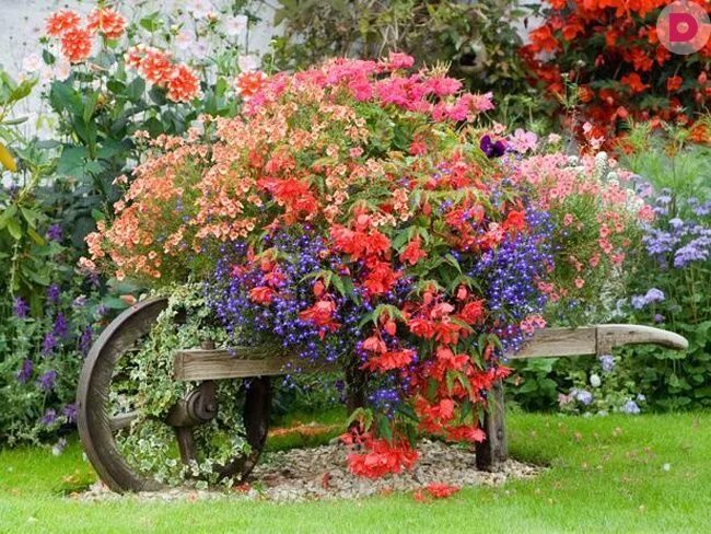 Красивые цветы в саду фото 15 цветочных спецэффектов для украшения сада Garden containers, Backyard garden,