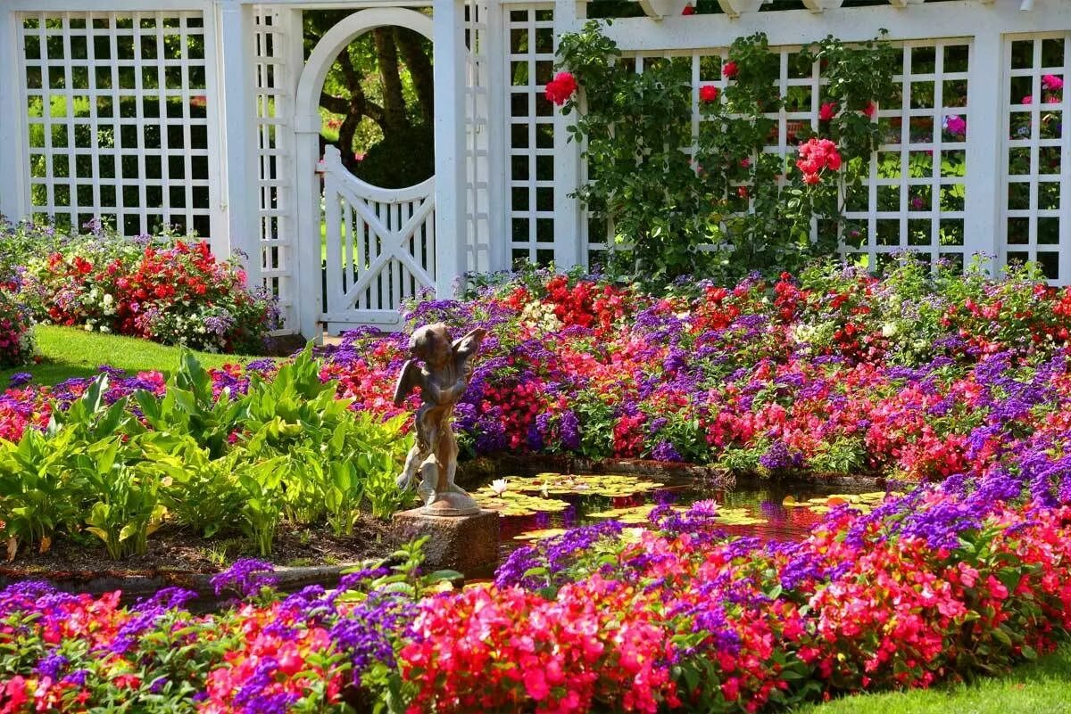 Красивые цветы в саду фото #LoveFlowers Enjoy all the beauty from our garden of the day @butchartgardens ga