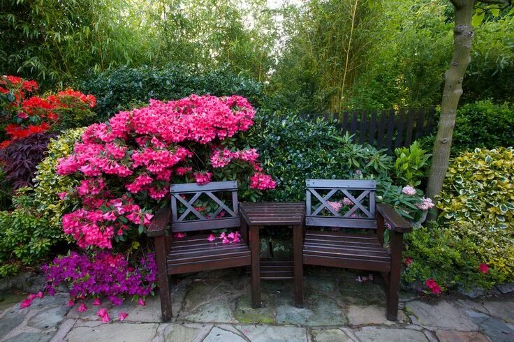 Красивые цветы в саду фото Seat amongst the rhododendron and azalea flowers Azalea flower, Garden landscape