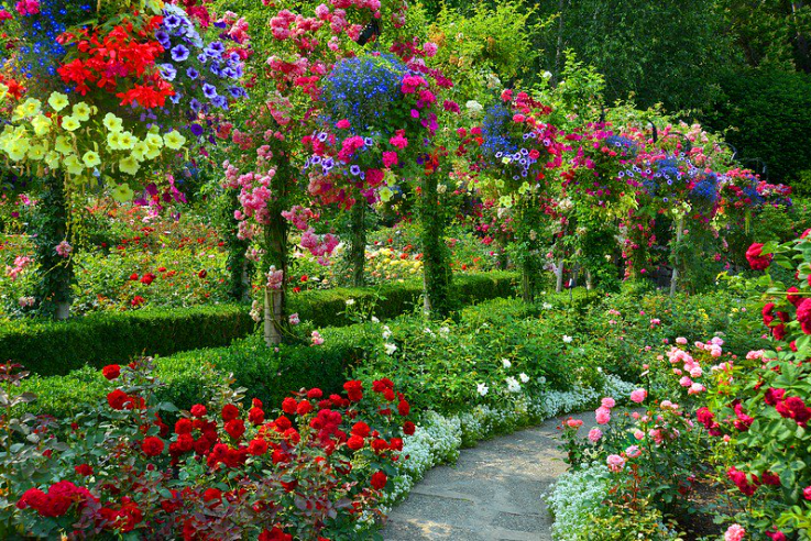 Красивые цветы в саду фото Visit These Gardens if You Want To Experience Heaven Brought Down on Earth