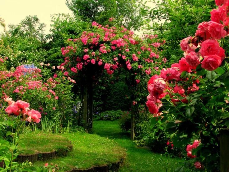 Красивые цветы в саду фото Повторение - простой прием для неповторимых цветников Garden pictures, Beautiful