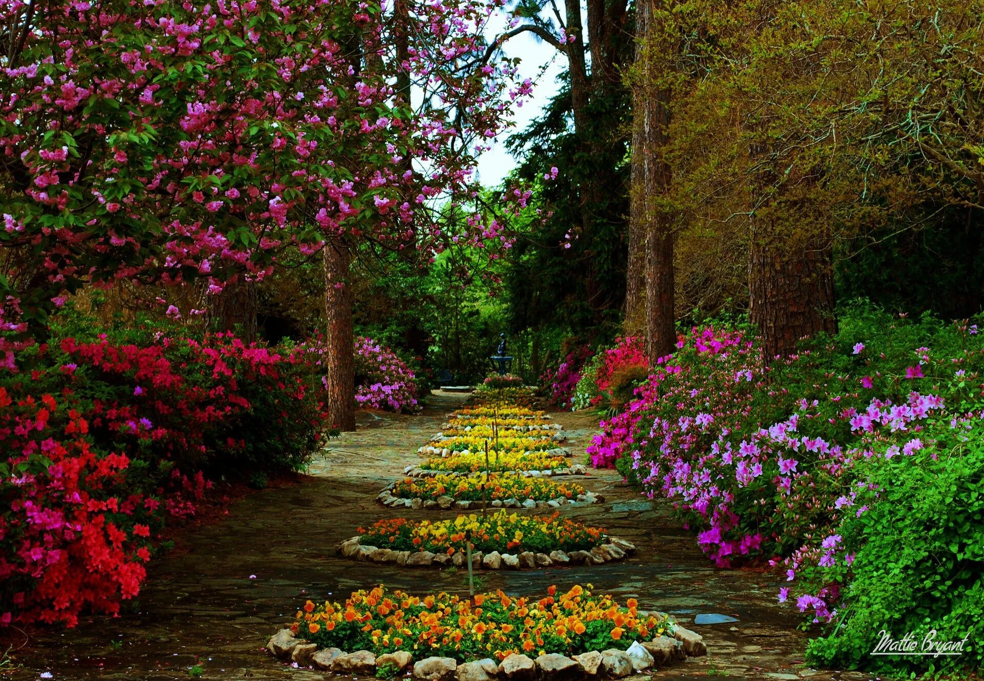 Красивые цветы в саду фото Download Blossom Circle: An Intricate Flower Garden Wallpaper Wallpapers.com